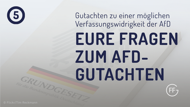 Gutachten zu einer möglichen Verfassungswidrigkeit der AfD: Eure Fragen zum AfD-Gutachten
